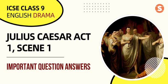 Julius Caesar Act 1, Scene 1- ImpQns