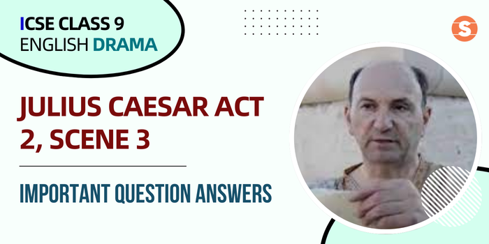 Julius Caesar Act 2, Scene 3- ImpQns