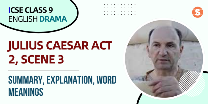 Julius Caesar Act 2, Scene 3- Summary