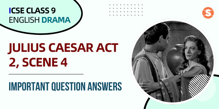 Julius Caesar Act 2, Scene 4 QNA