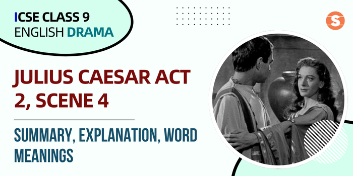 Julius Caesar Act 2, Scene 4 Summary
