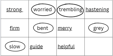 Somebody’s Mother QNA Img2