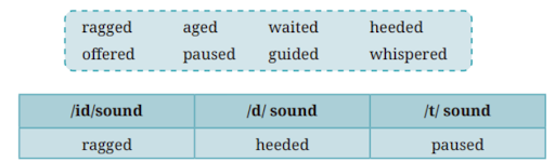 Somebody’s Mother QNA Img7