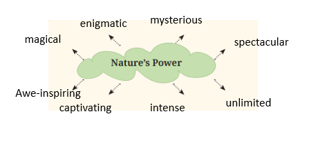 Spectacular Wonders QNA Img3