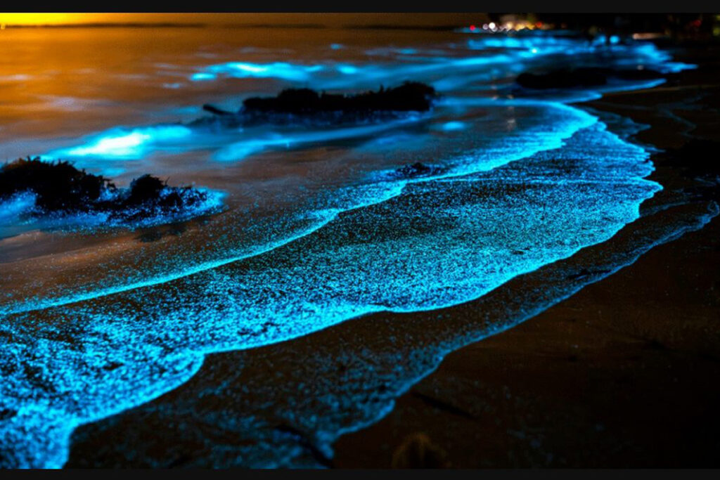 Spectacular Wonders Summary img 5