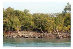 Spectacular Wonders Summary img 6