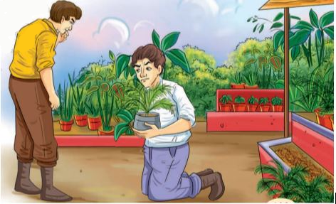 The Case of the Fifth Word Summary img2