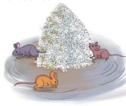 The Case of the Fifth Word qna img4