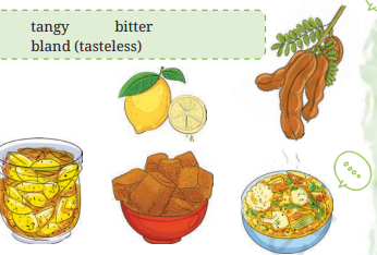 The Cherry Tree QNA Img1