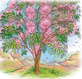 The Cherry Tree Summary Img10