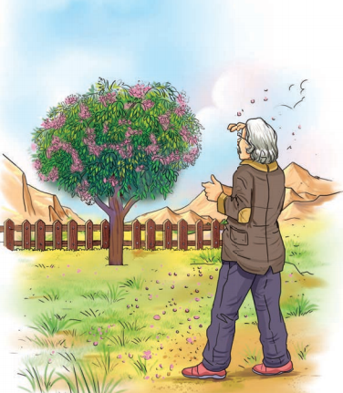 The Cherry Tree Summary Img11