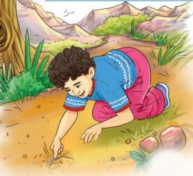 The Cherry Tree Summary Img4