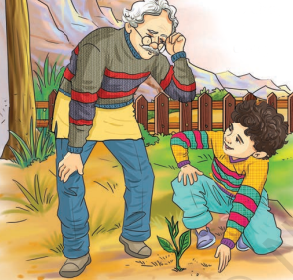 The Cherry Tree Summary Img6