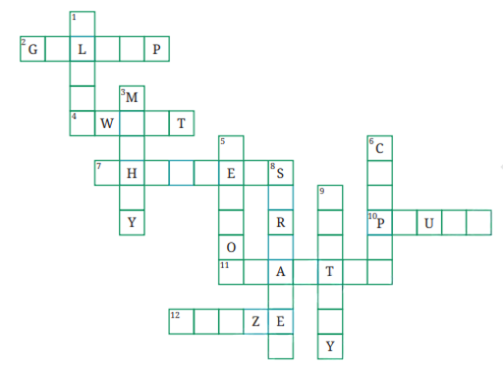 The Magic Brush of Dreams QNA img1