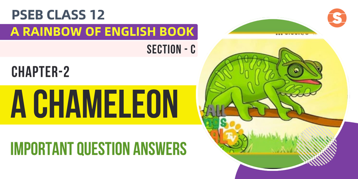 A Chameleon Question Answers (Important) | PSEB Class 12 A Rainbow of English book