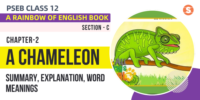 A Chameleon Summary, Explanation, Word Meanings PSEB Class 12 English Chapter 2