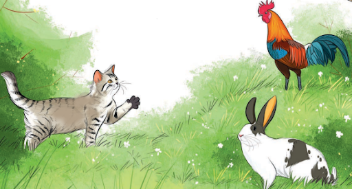 Feathered-Friend-QNA-img1