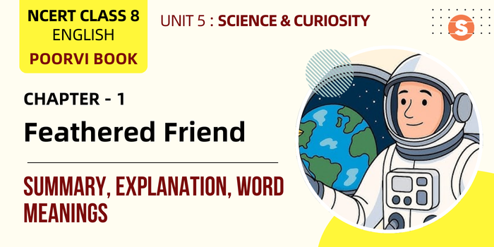 Feathered-Friend-Summary