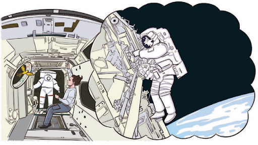 Feathered Friend Summary img2