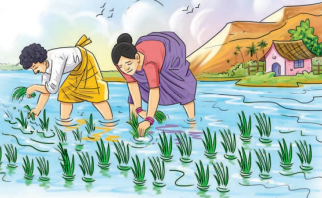 Harvest Hymn QNA img6