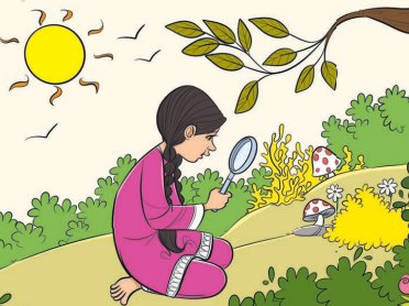 Magnifying glass Summary Img 2