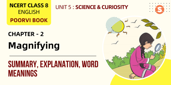 Magnifying Glass Summary