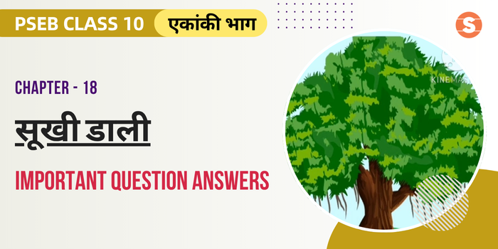 Sukhi Dali Question Answers (Important) | PSEB Class 10 Hindi Book Chapter 18
