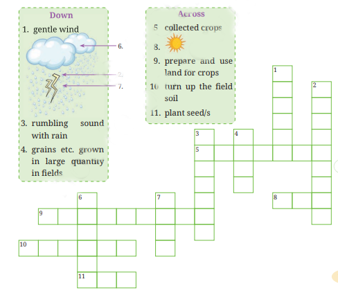 Waiting for the Rain QNA img1