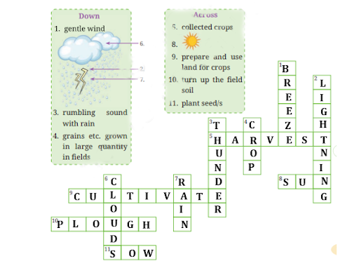 Waiting for the Rain QNA img2