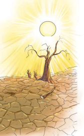 Waiting for the Rain Summary img2