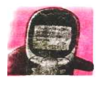 A Silent Revolution Summary img 1