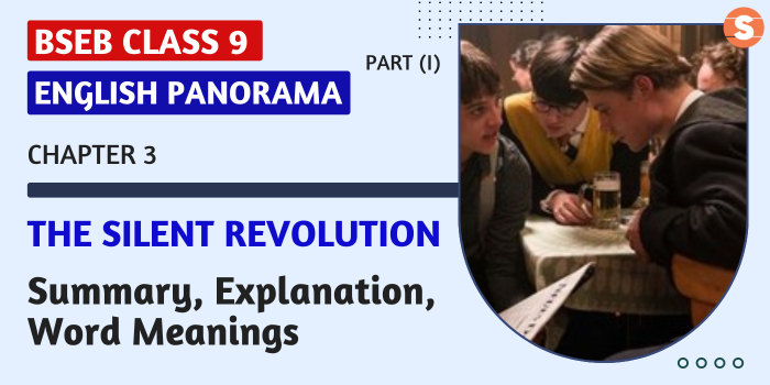 A Silent Revolution Summary, Explanation, Word Meanings BSEB Class 9 English Panorama-I Book Chapter 3