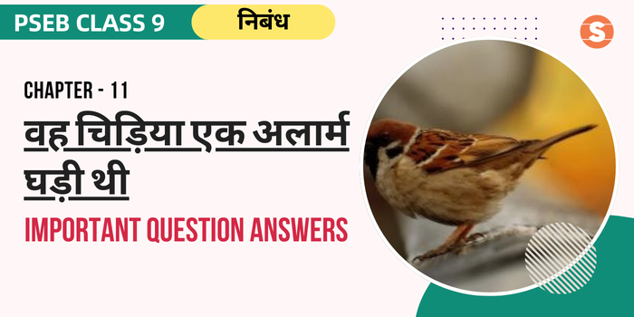 Vah chidiya Ek Alarm Ghadi Thi Question Answers (Important) | PSEB Class 9 Hindi Book Chapter 11