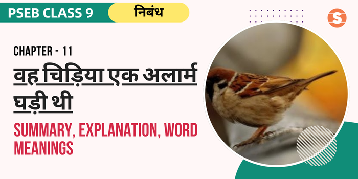 वह चिड़िया एक अलार्म घड़ी थी सार Vah chidiya Ek Alarm Ghadi Thi Summary, Explanation, Word meanings PSEB Class 9 Hindi Chapter 11