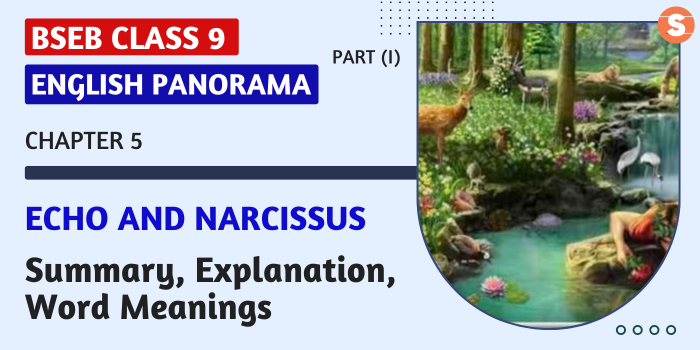 Echo and Narcissus Summary, Explanation, Word Meanings BSEB Class 9 English Panorama-I Book Chapter 5