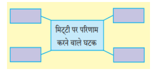 Meri Smriti QNA img 1