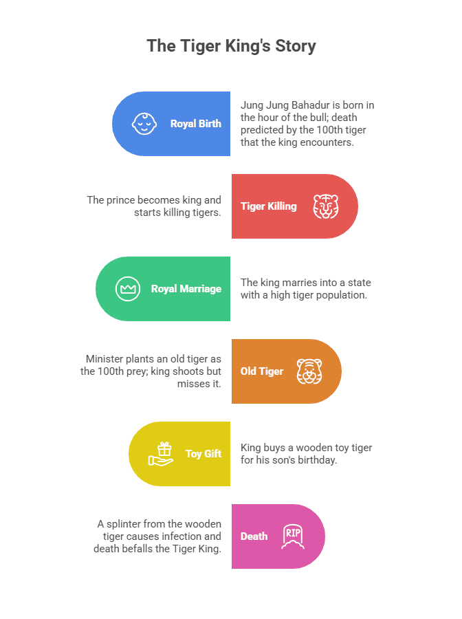 Summary - The Tiger King