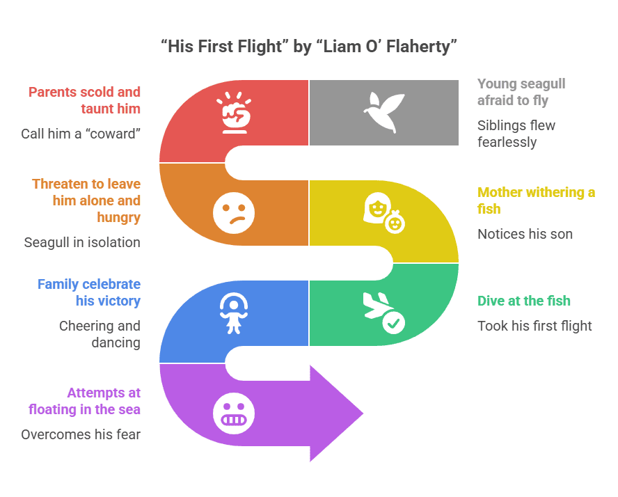 Summary of His First Flight