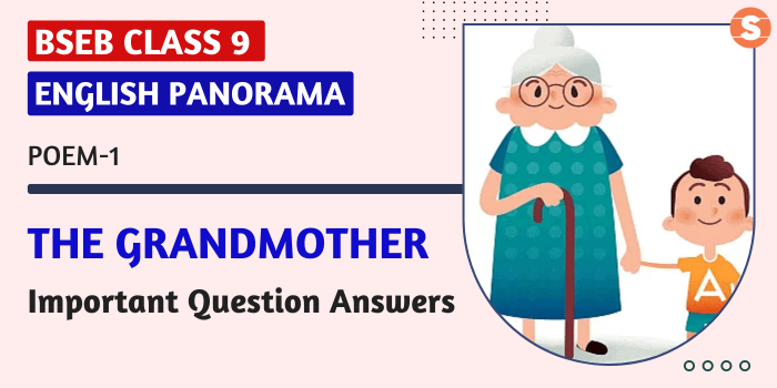 The Grandmother Question Answers (Important)| BSEB Class 9 English Panorama-I Book
