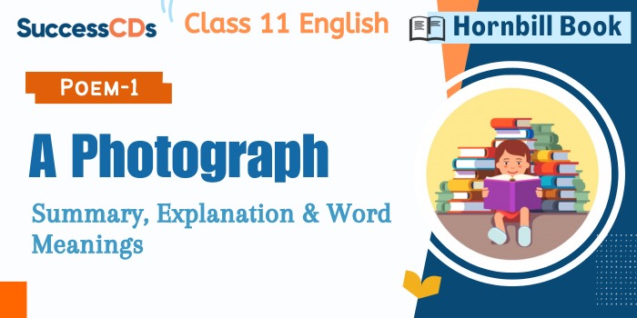 A Photograph Summary