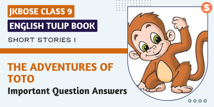 The Adventure of Toto ImpQns